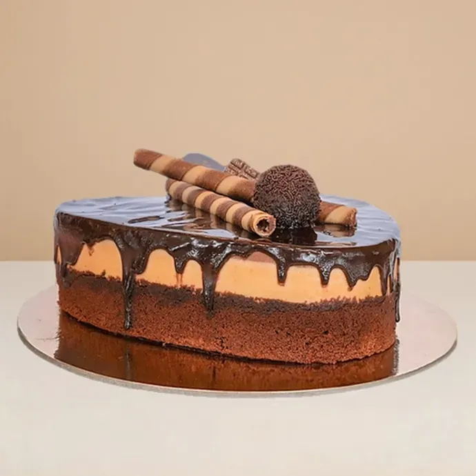 trio cake showing its layers of chocolate fudge, hazelnut, and chocolate mousse