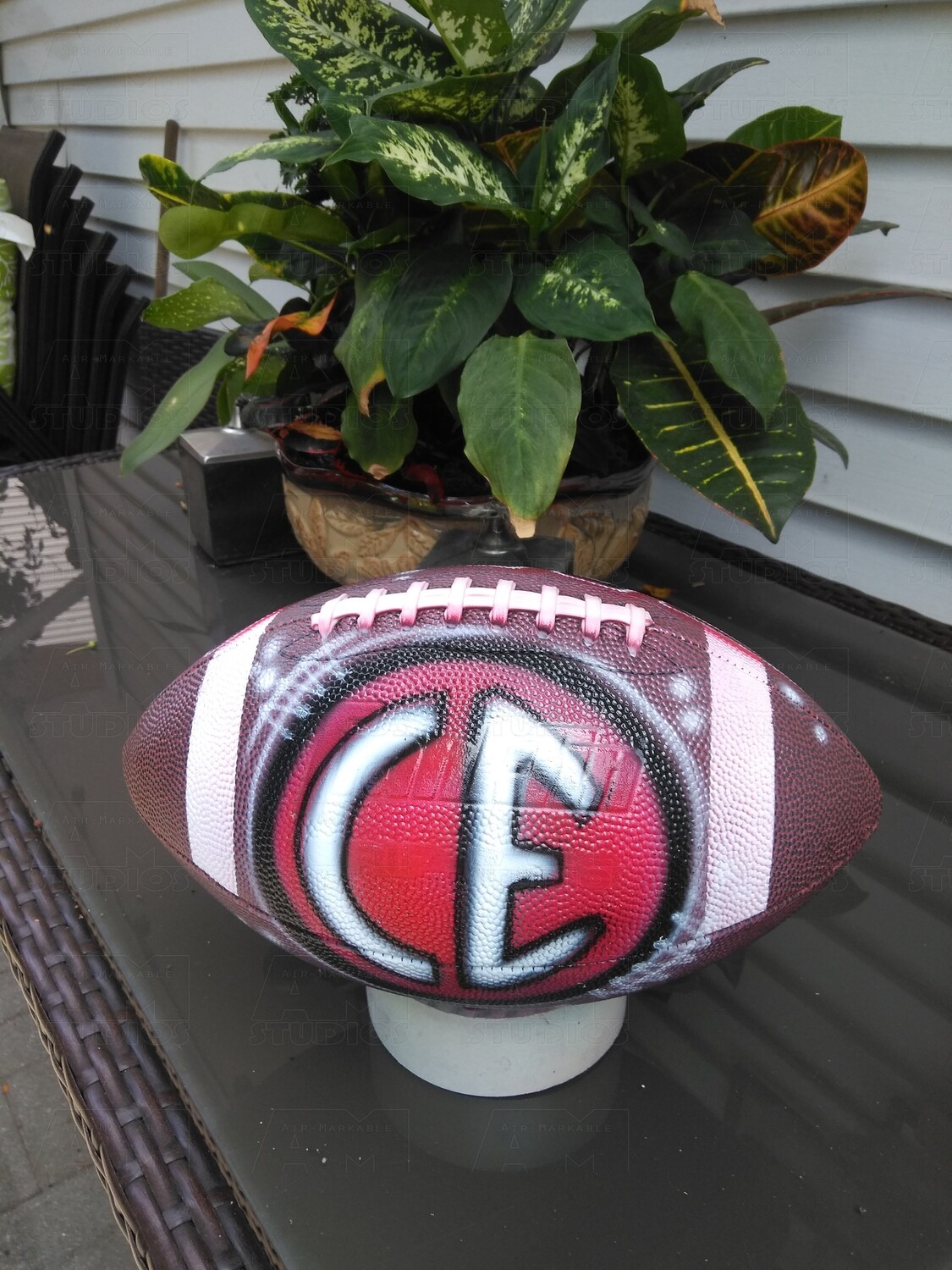 Basketballs or Footballs Airbrushed