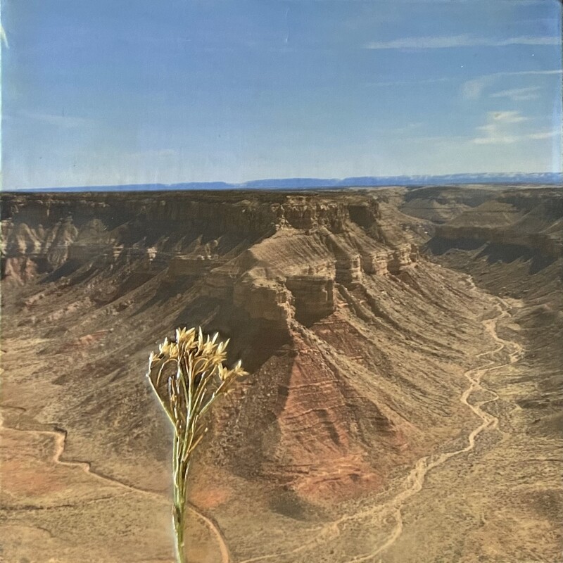 ECL005