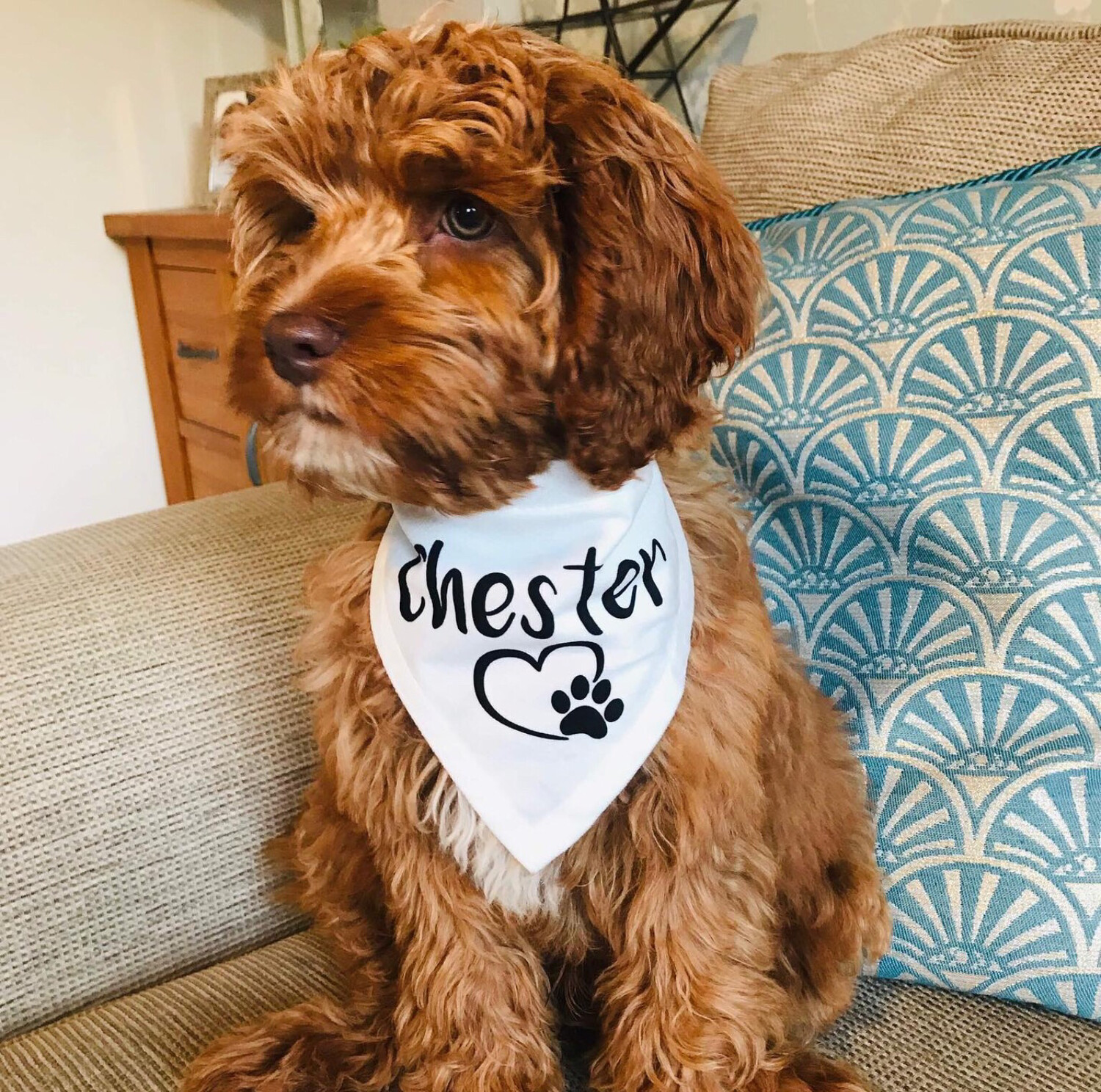 Personalised Dog Bandana