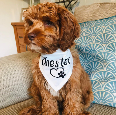 Personalised Dog Bandana