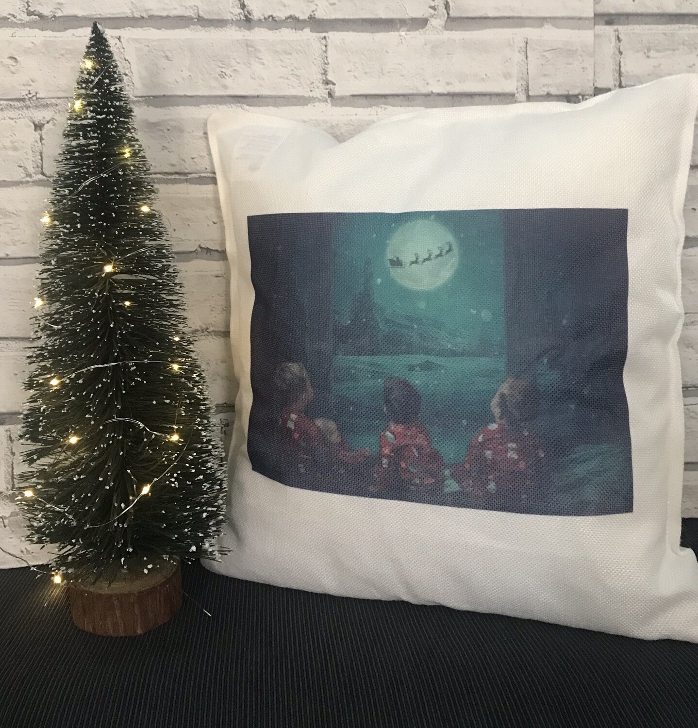 Picture Cushion