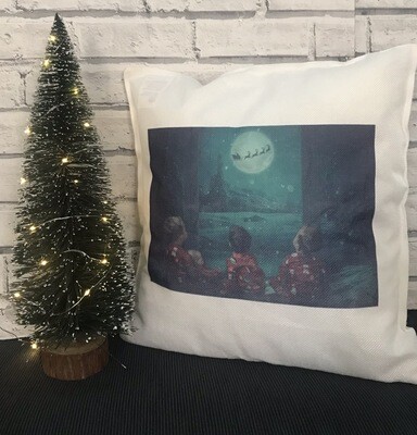 Picture Cushion