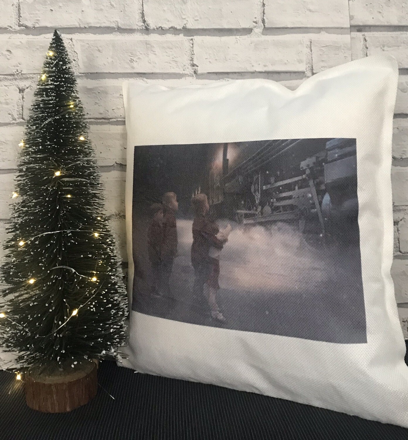 Picture Cushion
