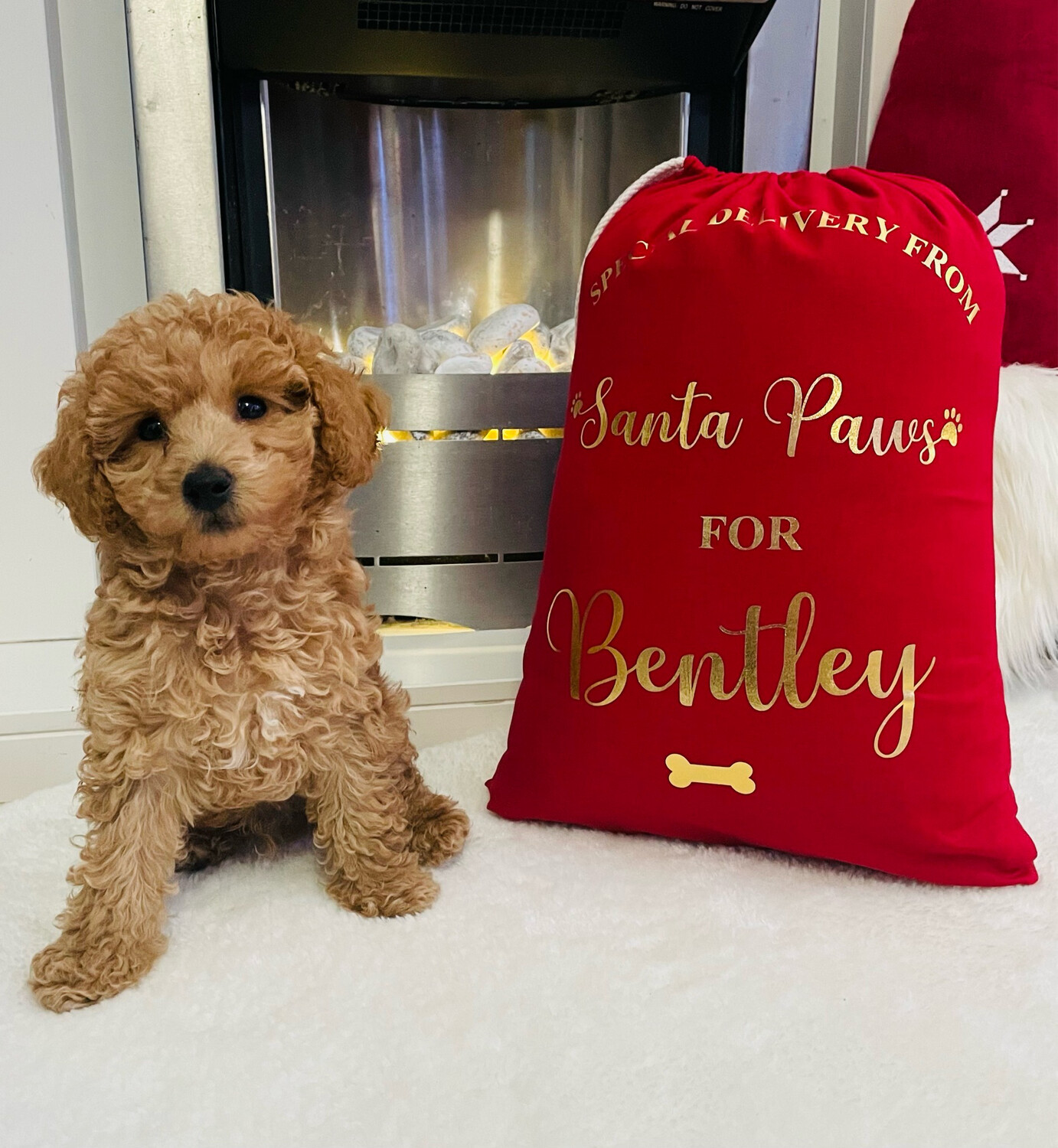 Stocking/Sack For Pets