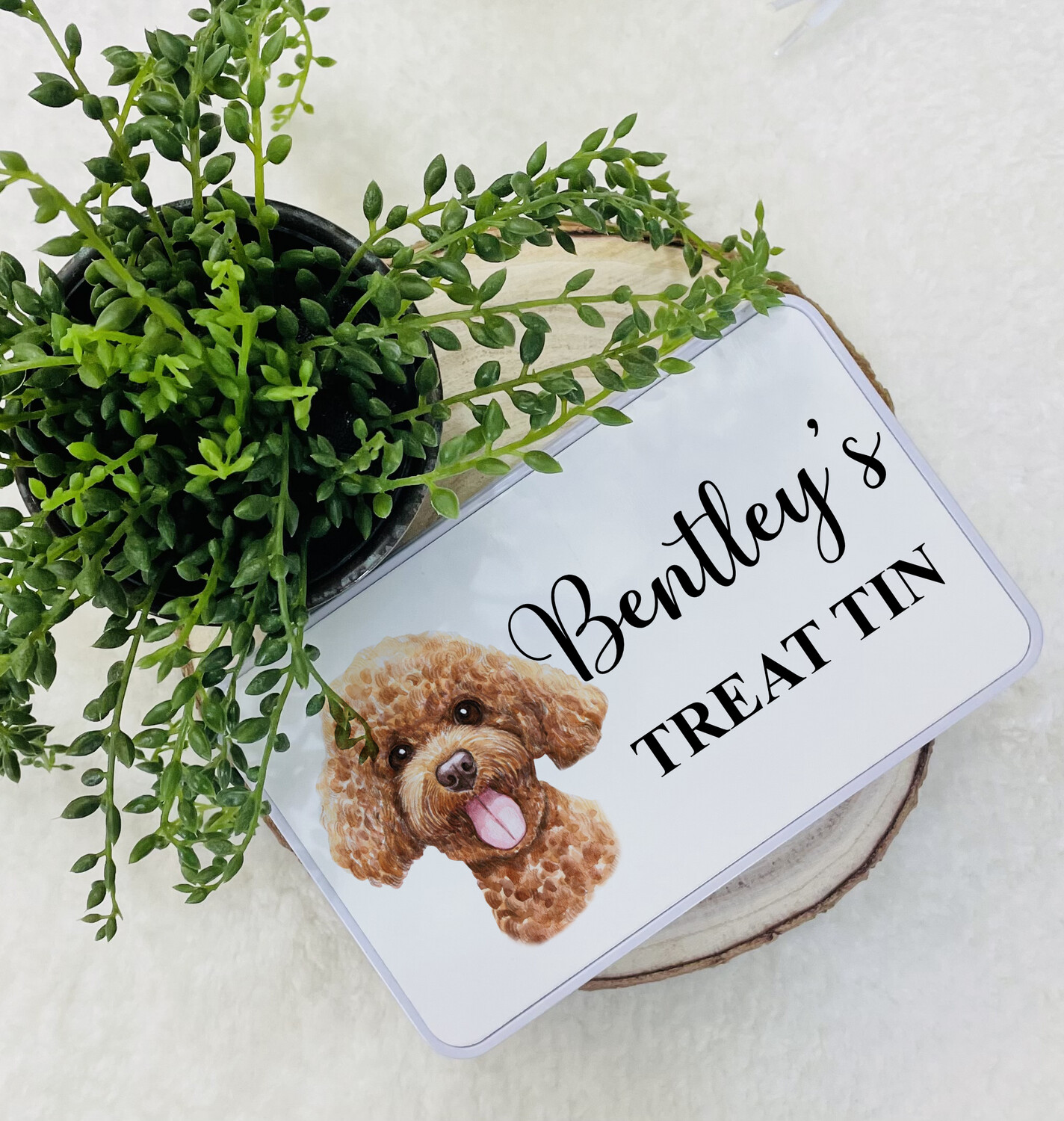 Pet Treat Tin