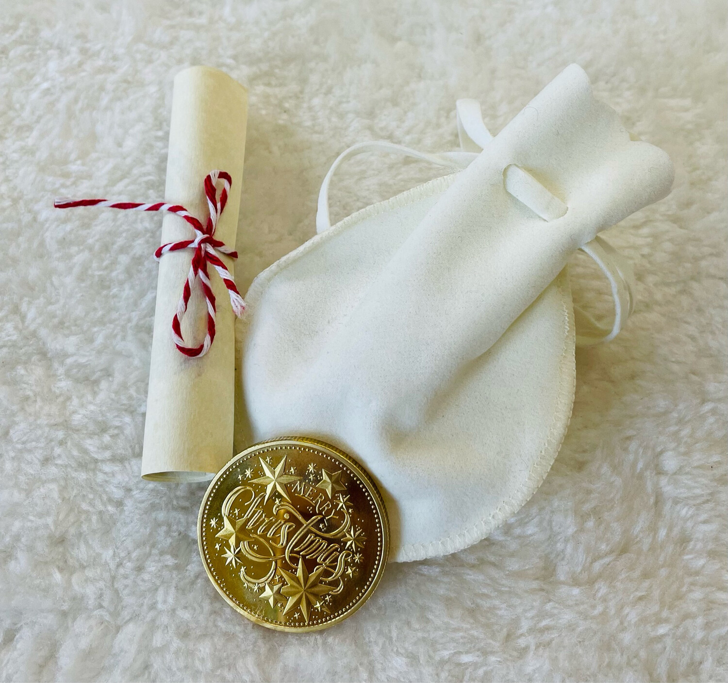 Santas Special Gold Coin