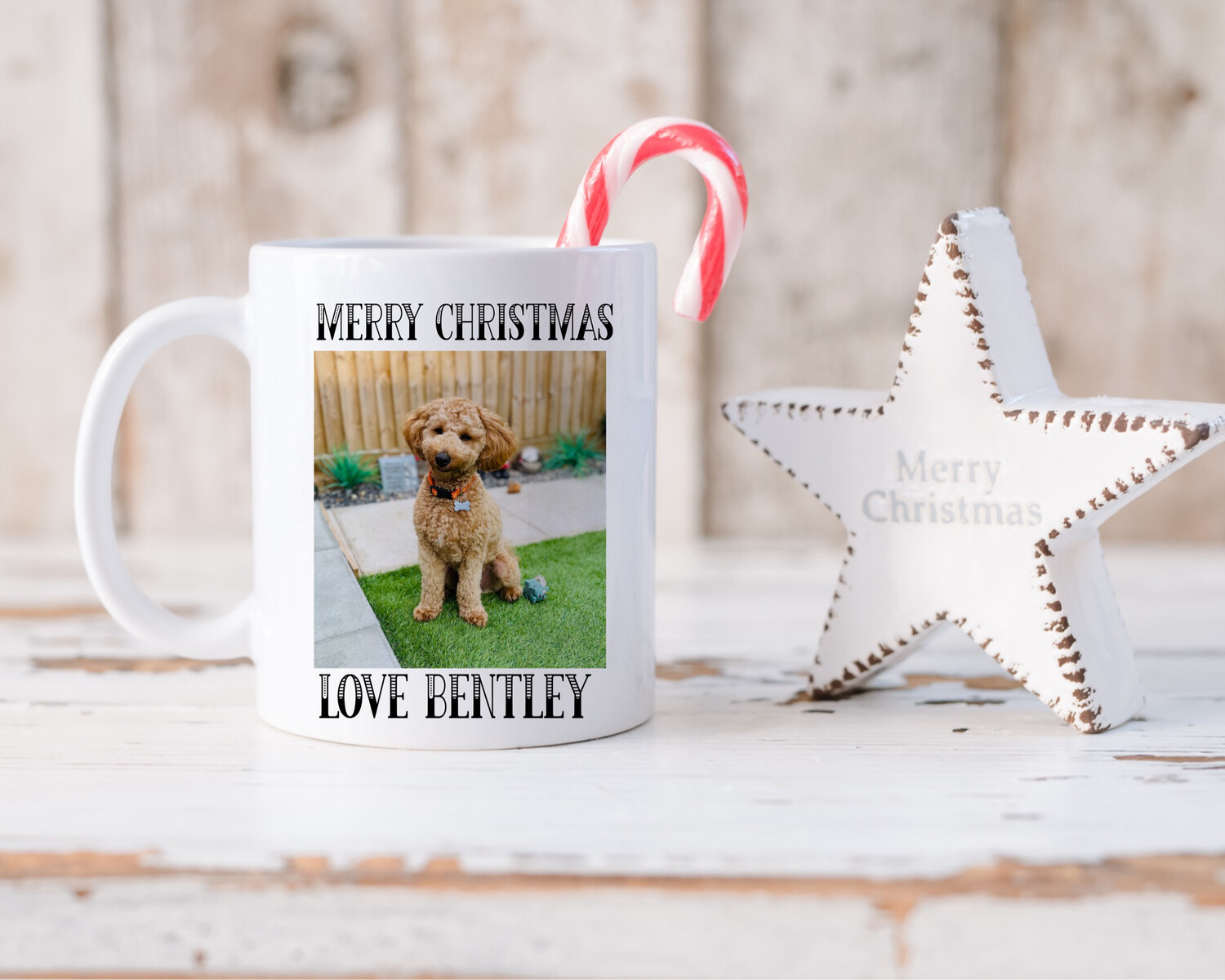 Photo Mugs