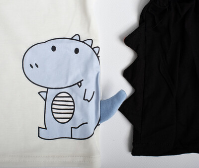 Dinosaur T Shirt And Short Set