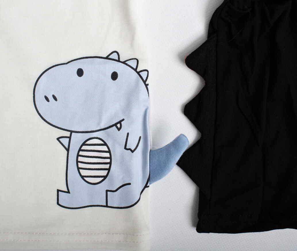 Dinosaur T Shirt And Short Set
