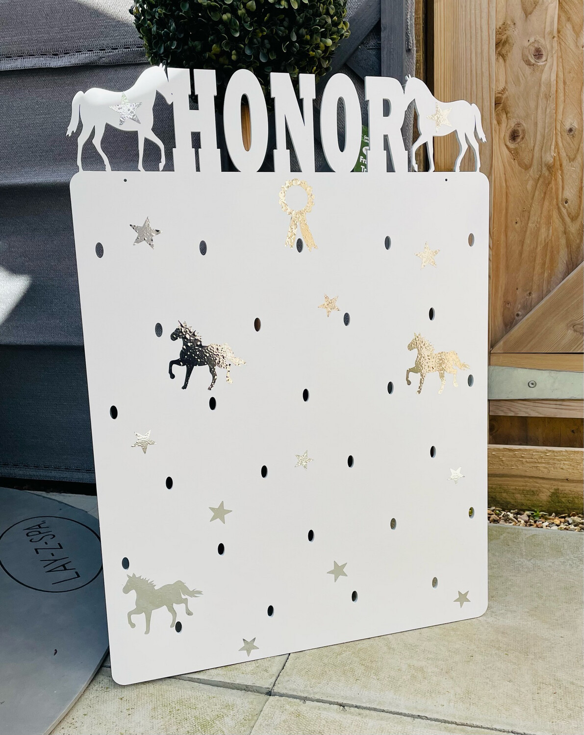 Horse Riding Rosette Holder