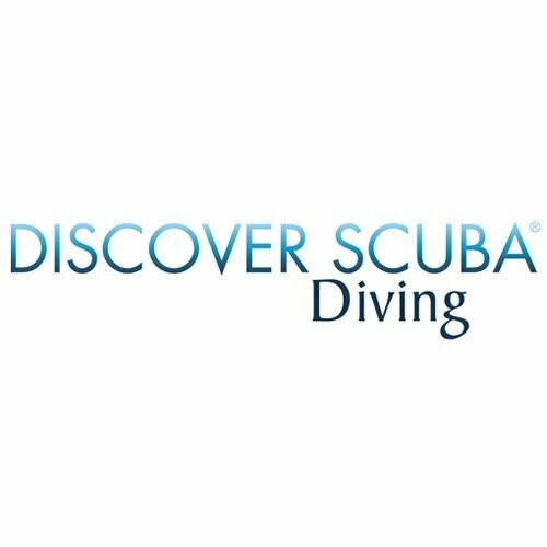 DISCOVER SCUBA DIVING/ Sa, 23.11.2024