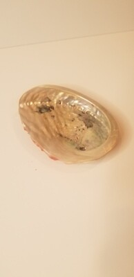 Smudging Shell