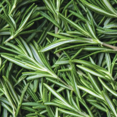Rosemary