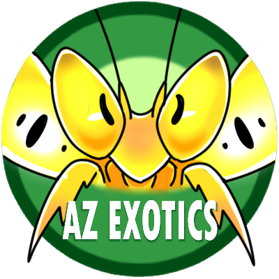 AZ Exotics