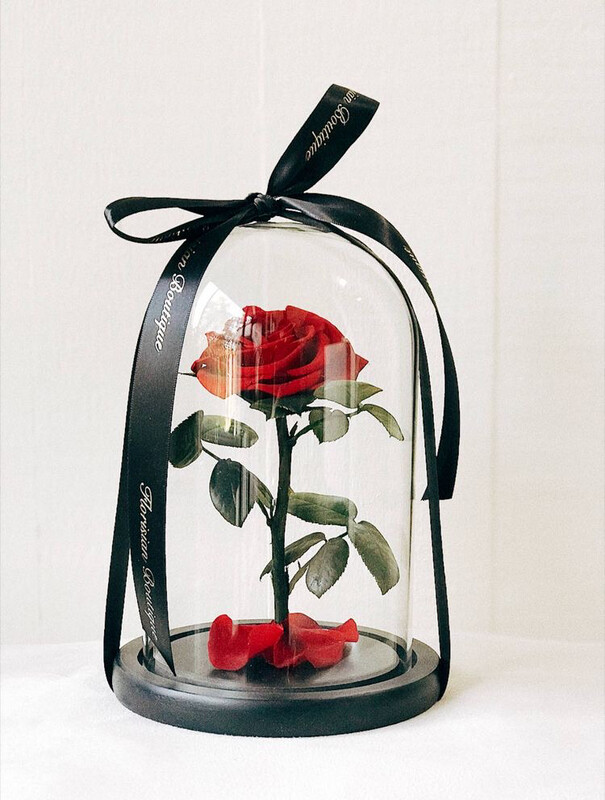 Everbloom Enchanted Rose