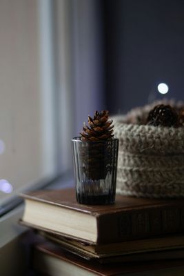 Home & Living