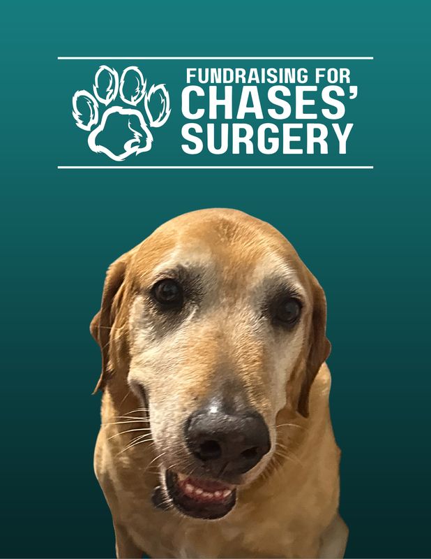 Fundraiser - Collar  - Thursday November 20