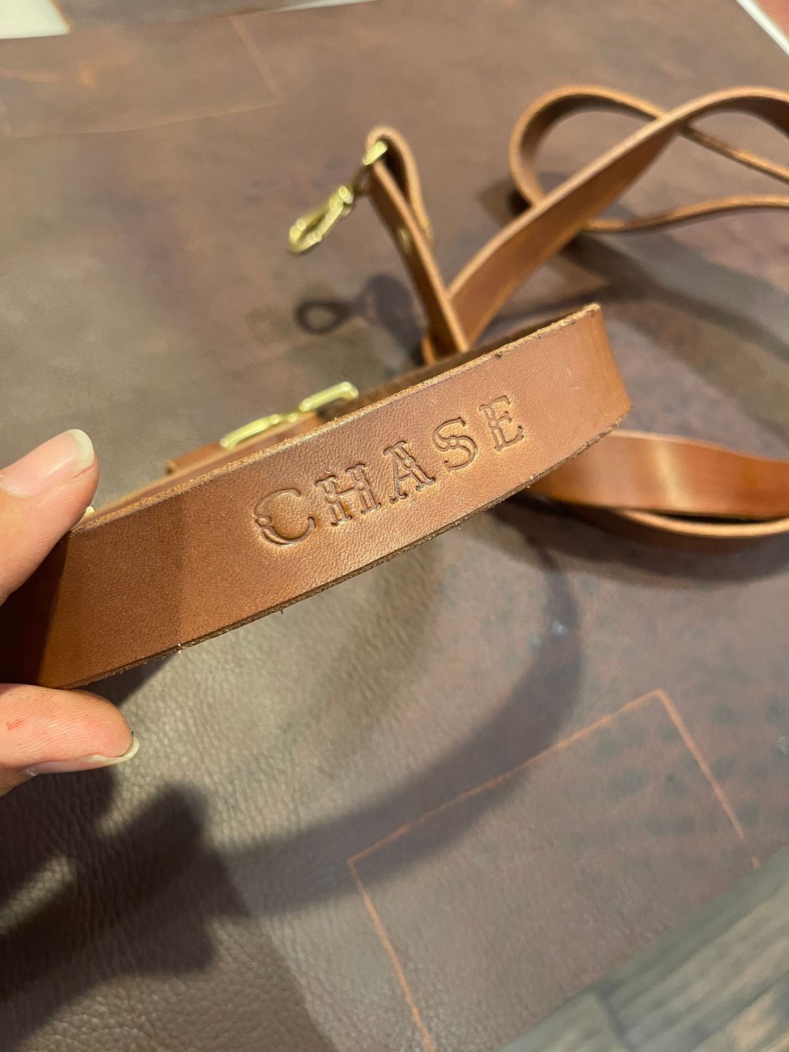 Thursday Jan 8 - Dog Collar