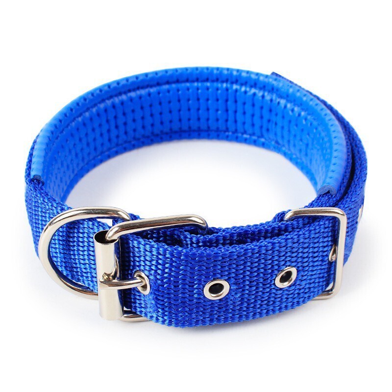 Dog Collar - LARGE 42-51 cm