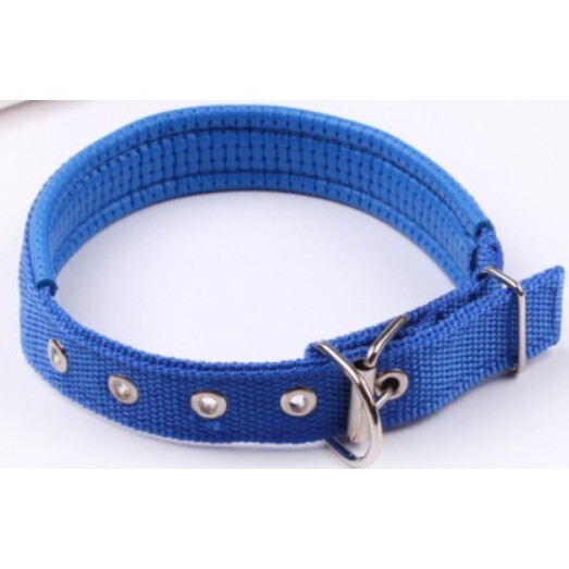 Dog Collar - SMALL 31-38 cm