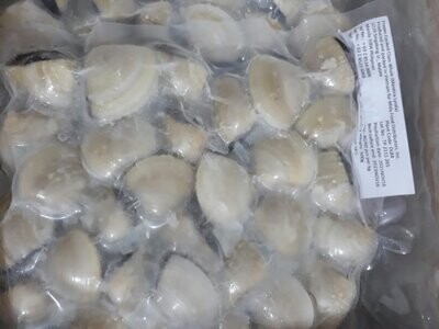 Pacific Bay CLAM WHITE WHOLE  500g