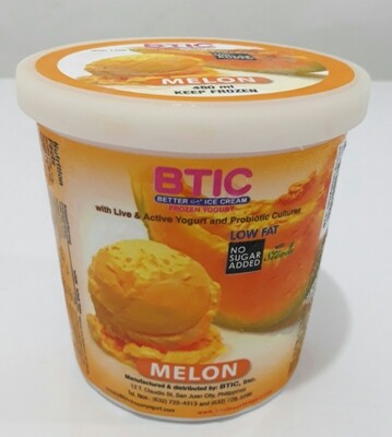 NO SUGAR MELON Yogurt Ice Cream 480ml
