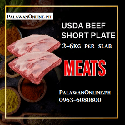 BEEF SHORT PLATE 1 KG - USDA Institutional packaging