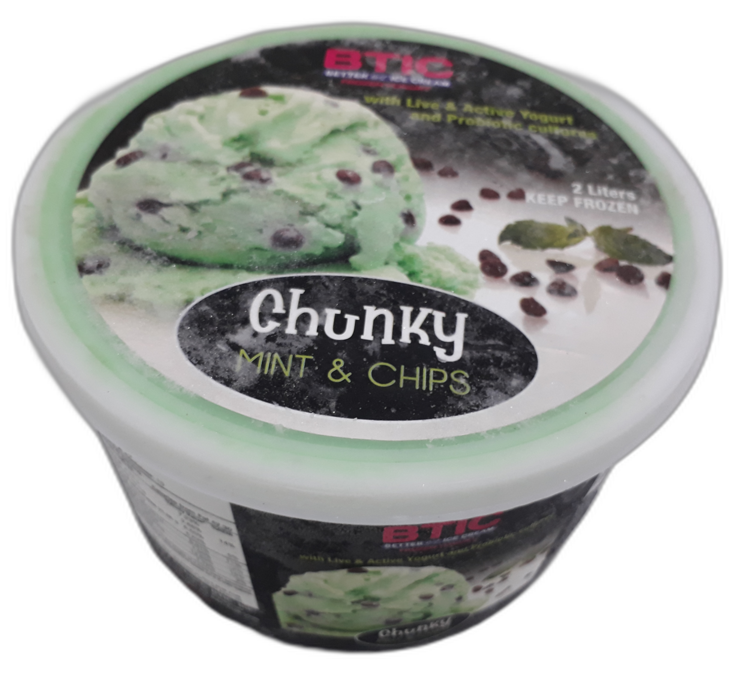 Chunky MINT N' CHIPS Yogurt Ice Cream 2 LIter
