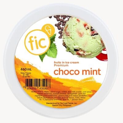 fic CHOCO MINT Ice Cream 460ml