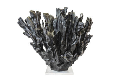 Black Coral Sculpture
