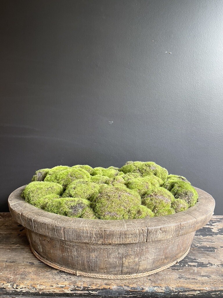 Shanxi Willow Wooden Basin with Moss