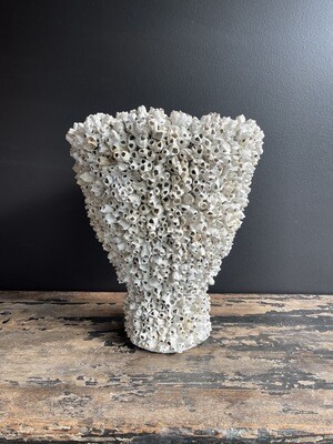Cupshaped Barnacle Pot