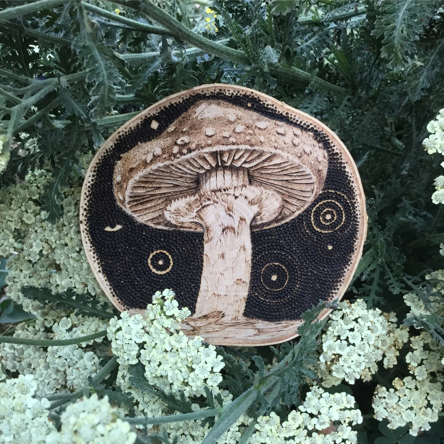 Mushroom wood bun art