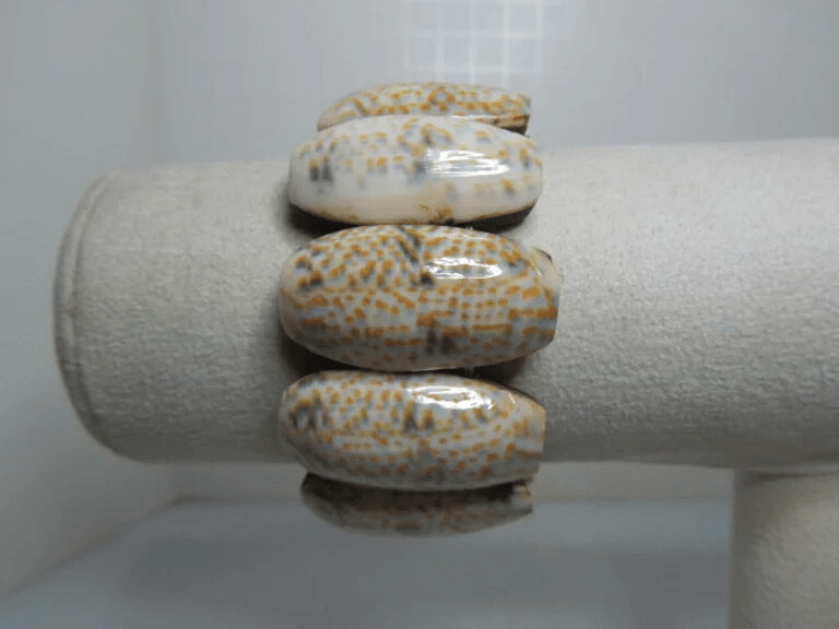 Cowrie Shell Stretchable Bracelet