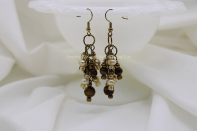 Brown Shell and Tigers Eye Beads