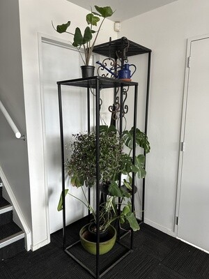 Plant Stands and Hangers