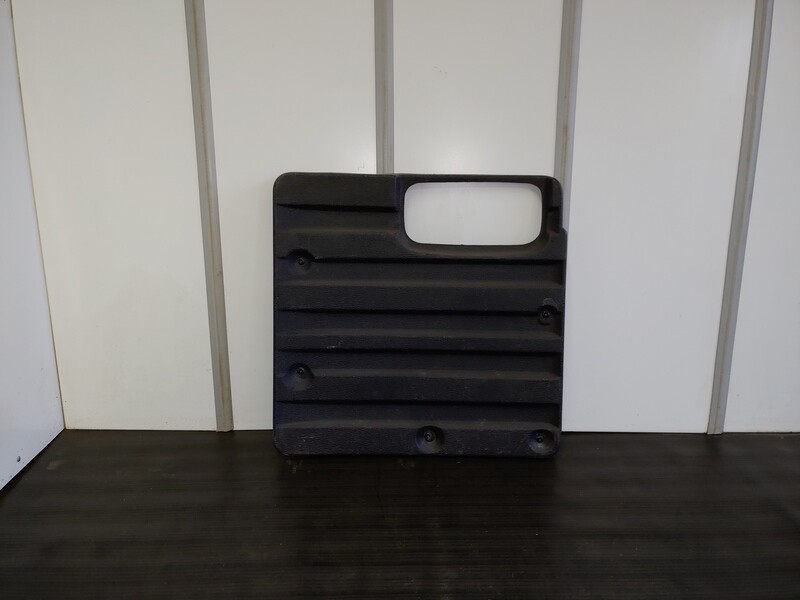 Savana Back Door Panel