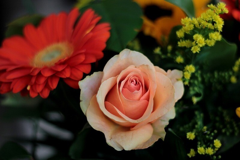 Vibrant orange bouquet