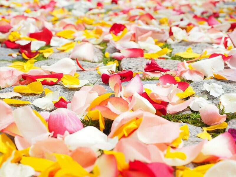 Sac de pétales de roses