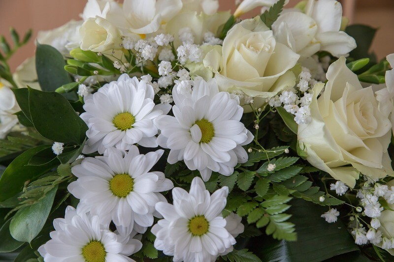 Classic white