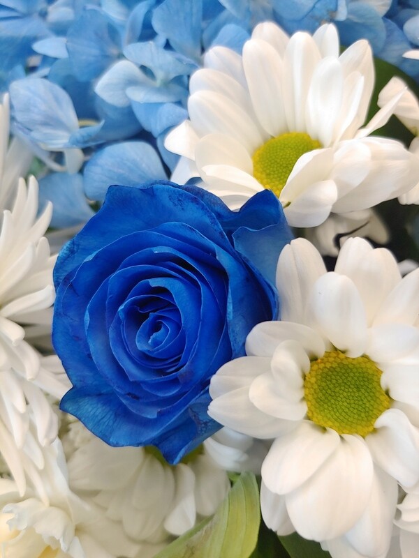 The big blue