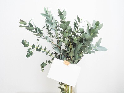 Bouquet d'eucalyptus varié