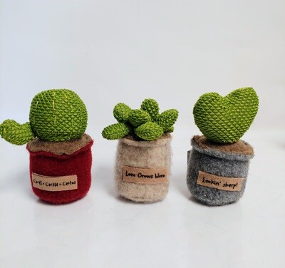 Peluche pot cactus collection Ganz