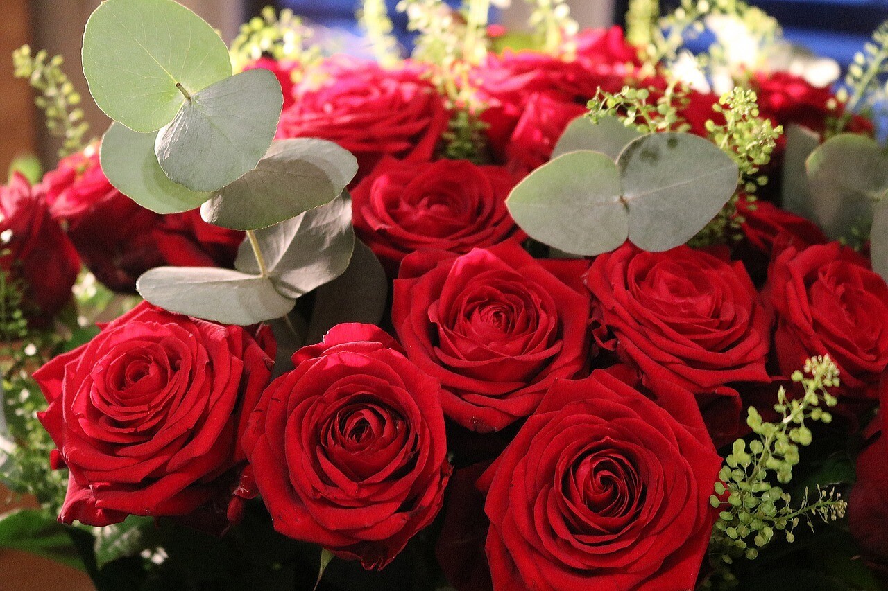 Roses rouges Passion