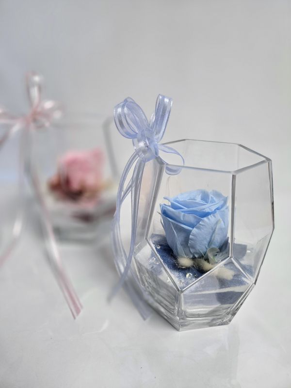 Rose éternelle Collection naissance