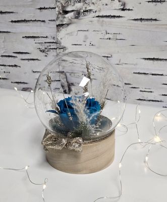 Rose éternelle des fêtes