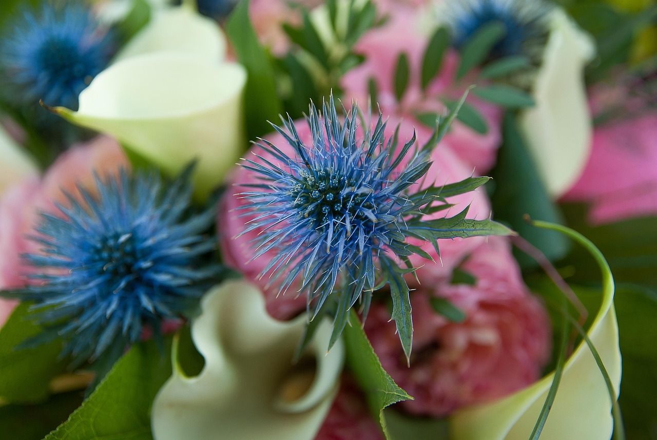 Bouquet Rosace