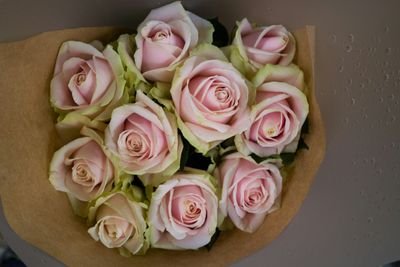 Roses roses Tendresse