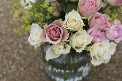 Roses